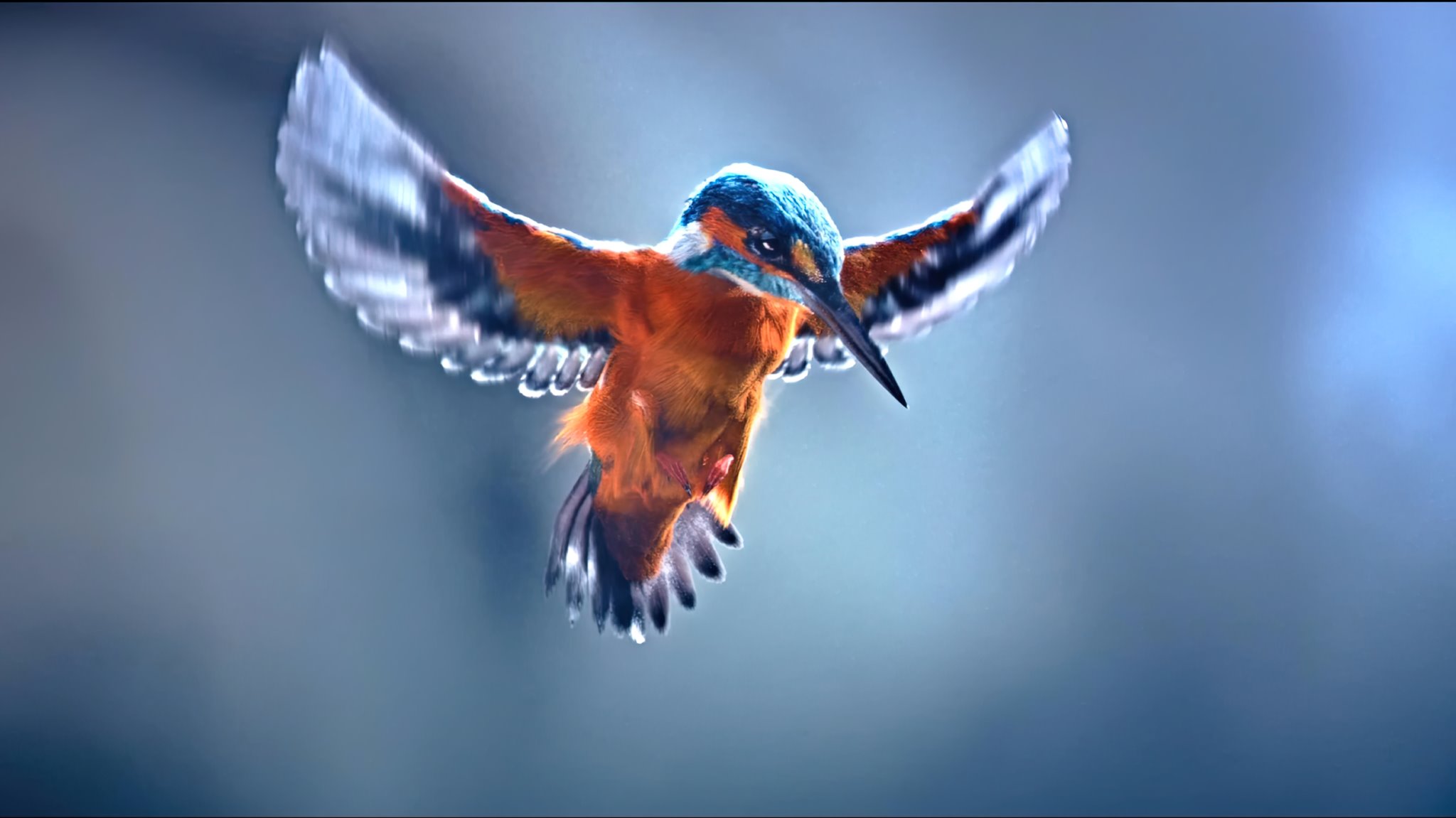 480194391_9121260497994696_1297825530555343226_n