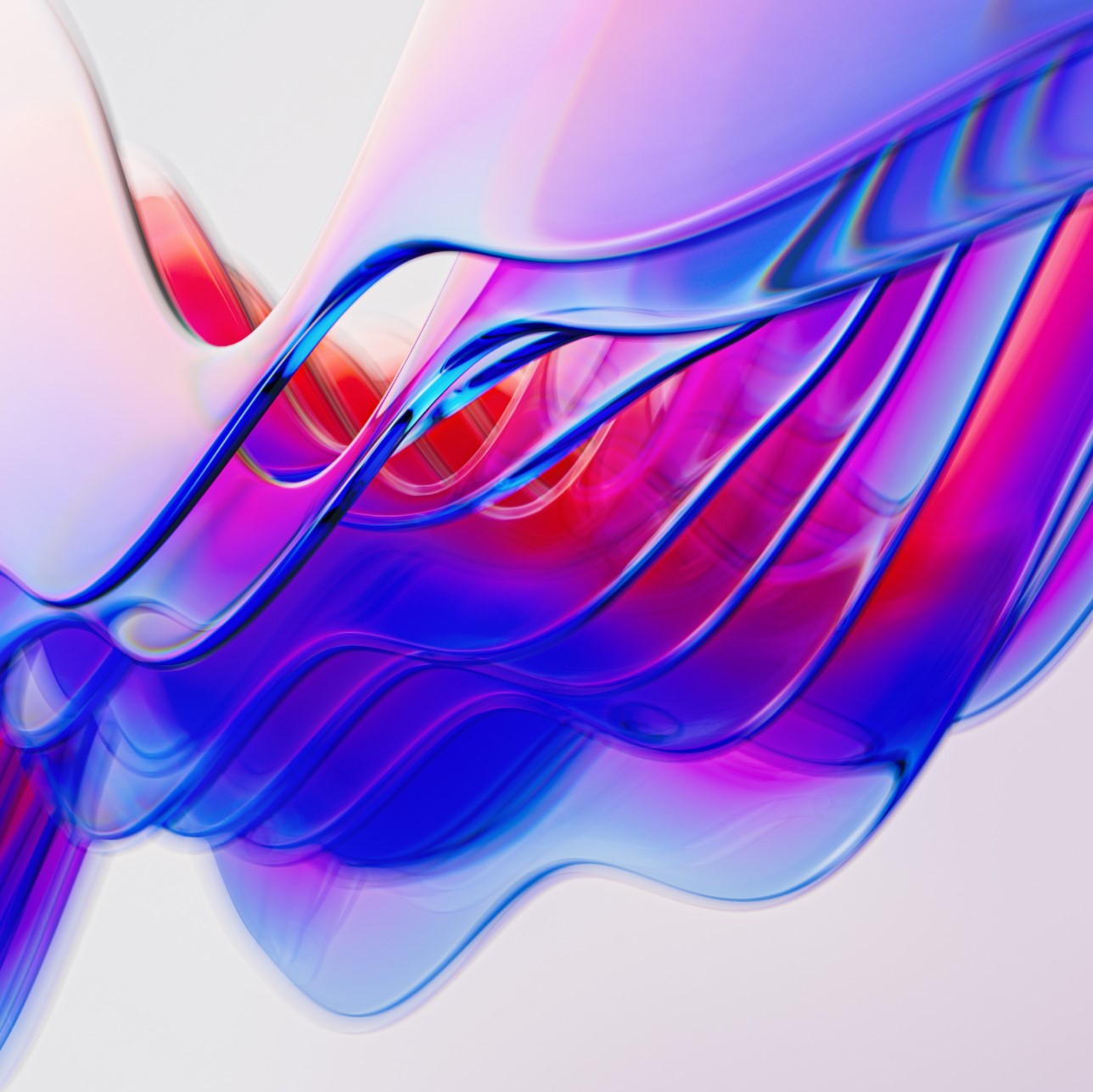 480667618_9168765733244172_5418519815993781115_n