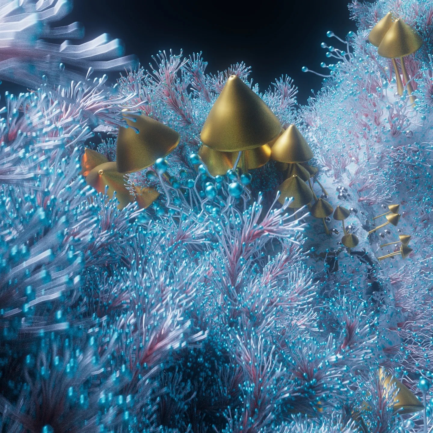 484309651_9288372577950153_7085513544330680225_n