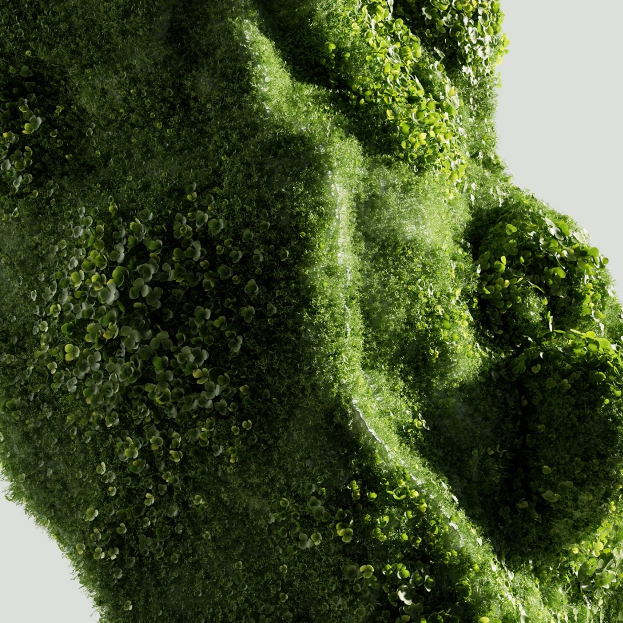 485178097_9325684787552265_6929419342737556695_n