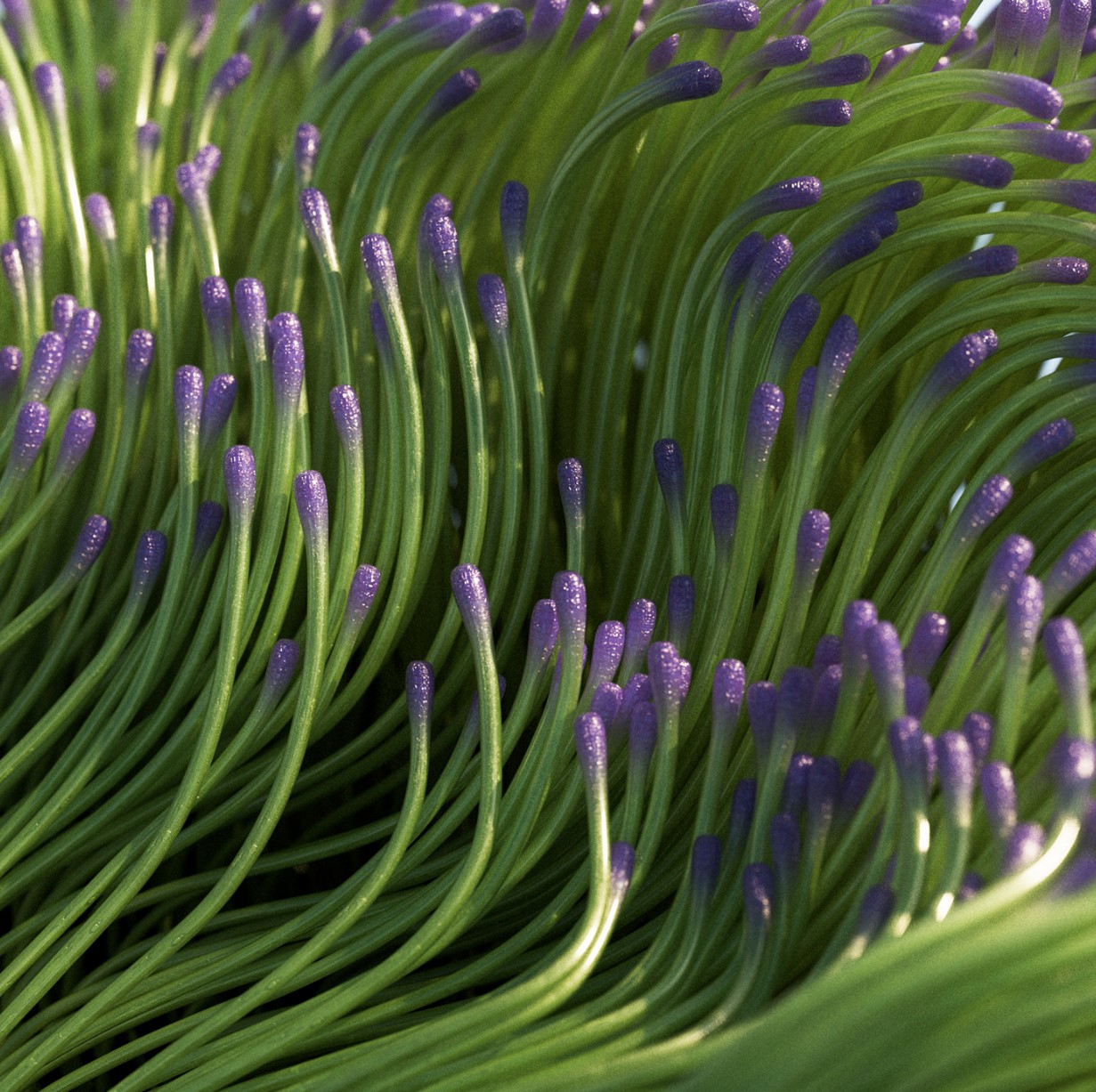 485802646_9334683406652403_5326924243326653414_n